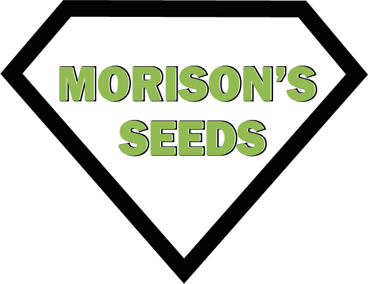 Morisons Seeds