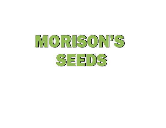 Morisons Seeds