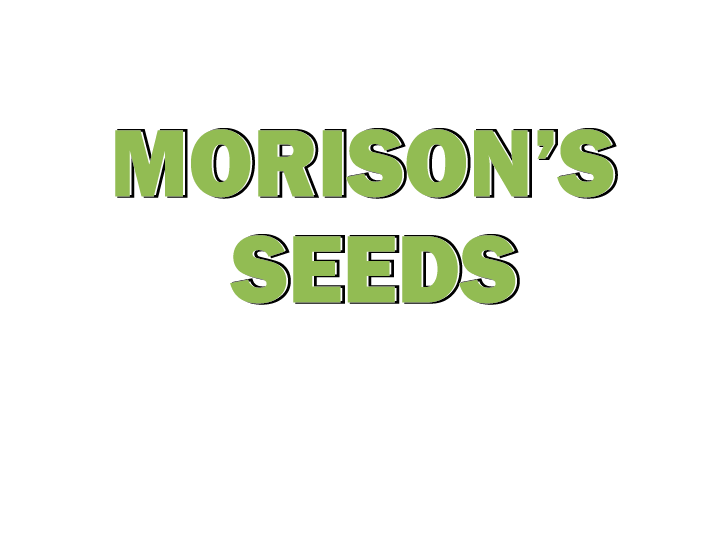 Morisons Seeds